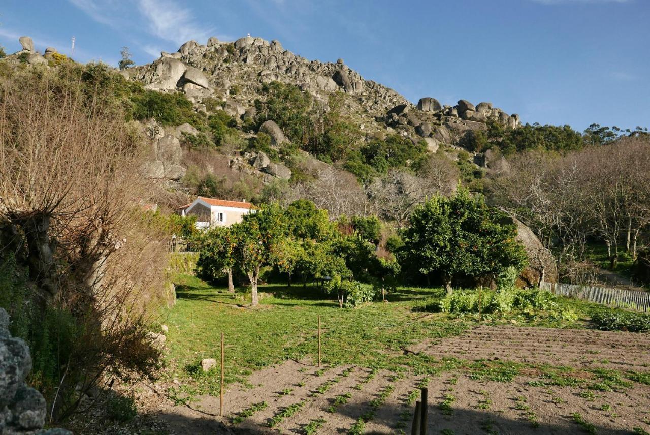 Quinta De Sao Pedro De Vir-A-Corca Em Monsanto Bed & Breakfast Exterior foto